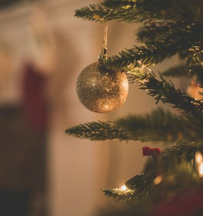 Sretan Božić i sve najbolje u 2024. godini želi Vam Društvo hemofiličara Hrvatske!